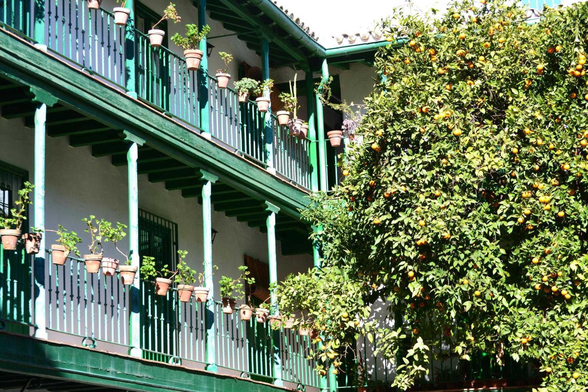 Estudio Las Setas I Seville Exterior photo